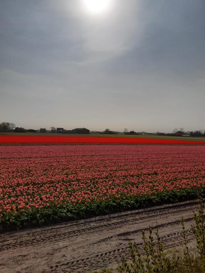 فيلا Groot Familiehuis Voor 6 Personen In Landelijke, Rustige Omgeving Breezand المظهر الخارجي الصورة